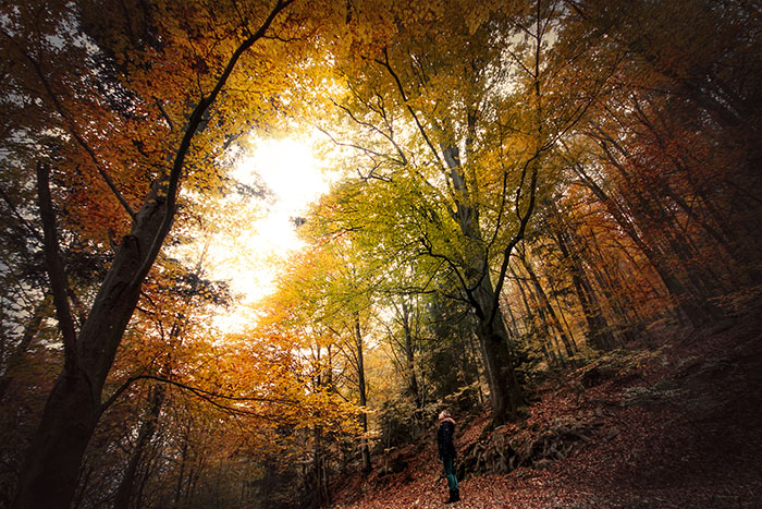 Der Natur auf der Spur